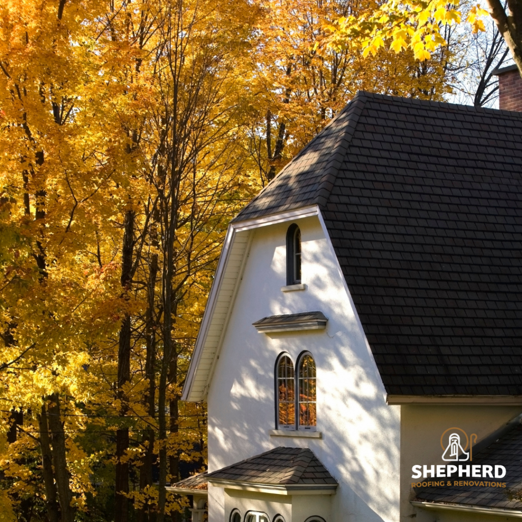 roof inspection in the fall