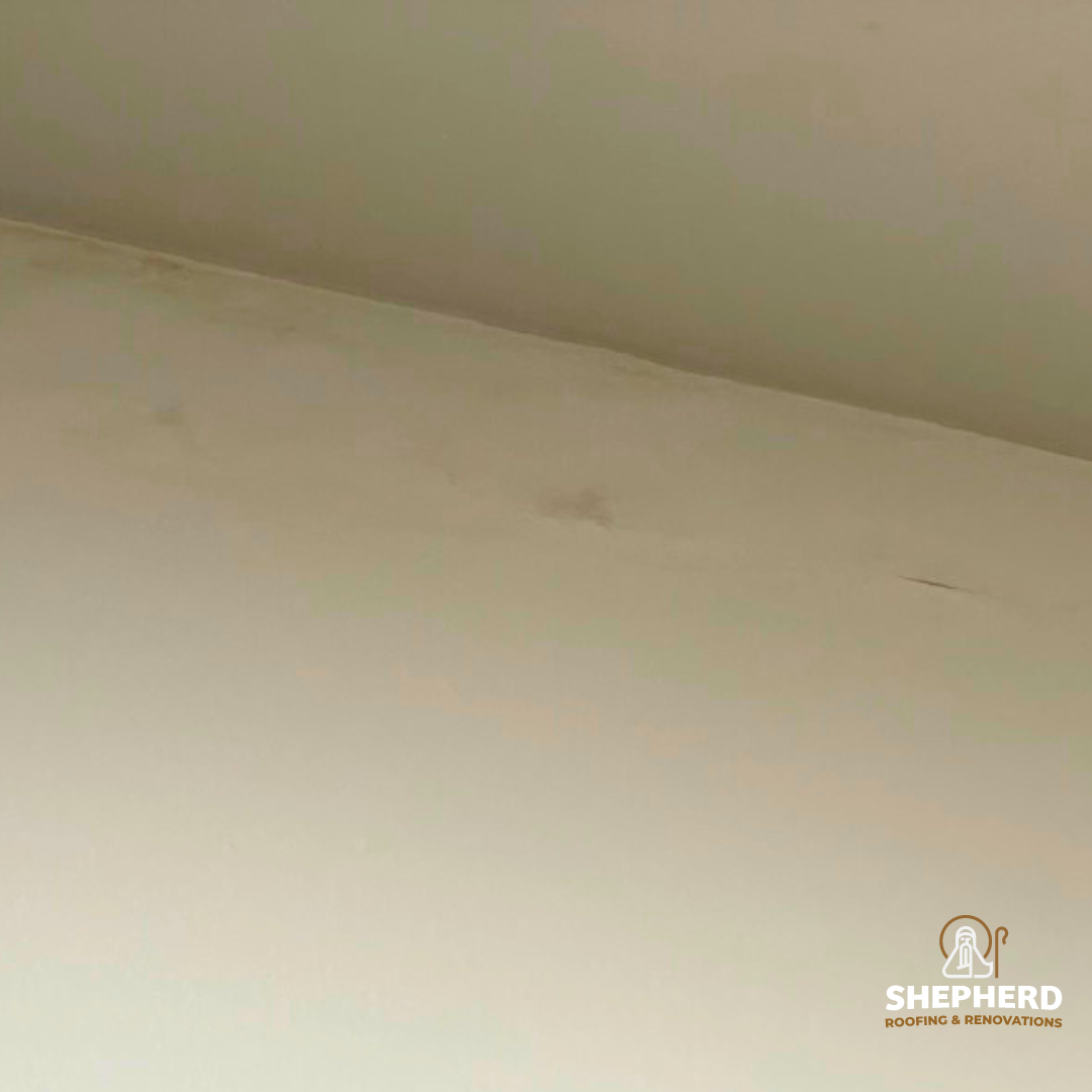 ceiling with rook leak stains