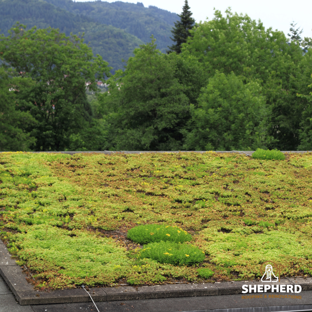 texas green roofs